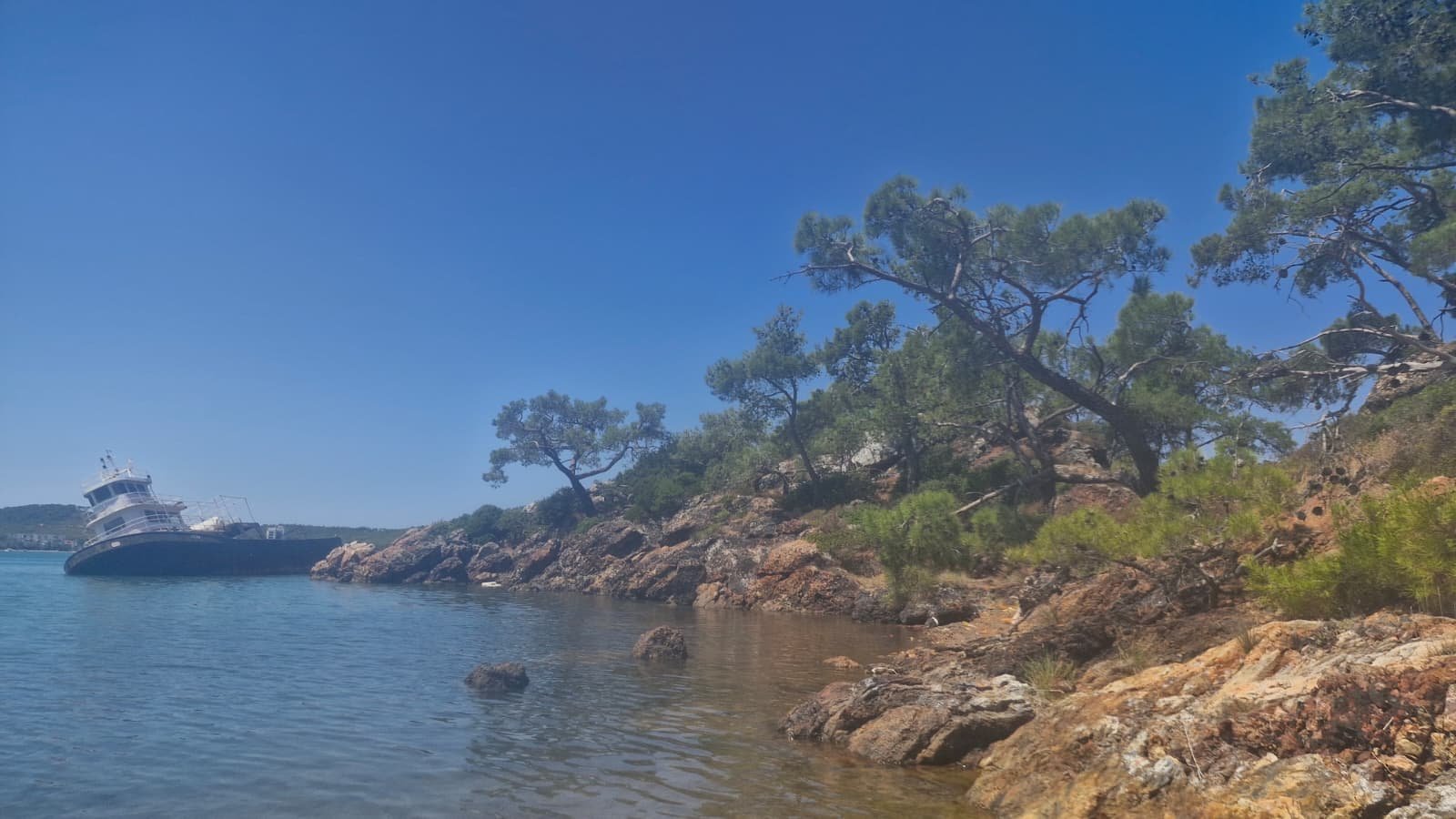 Paddleboarding in Ayvalık: The Shipwreck Route to Delikli Taş The Ayvalık shipwreck seen from a distance across calm blue water, framed by pine trees and a rocky red-brown coastline