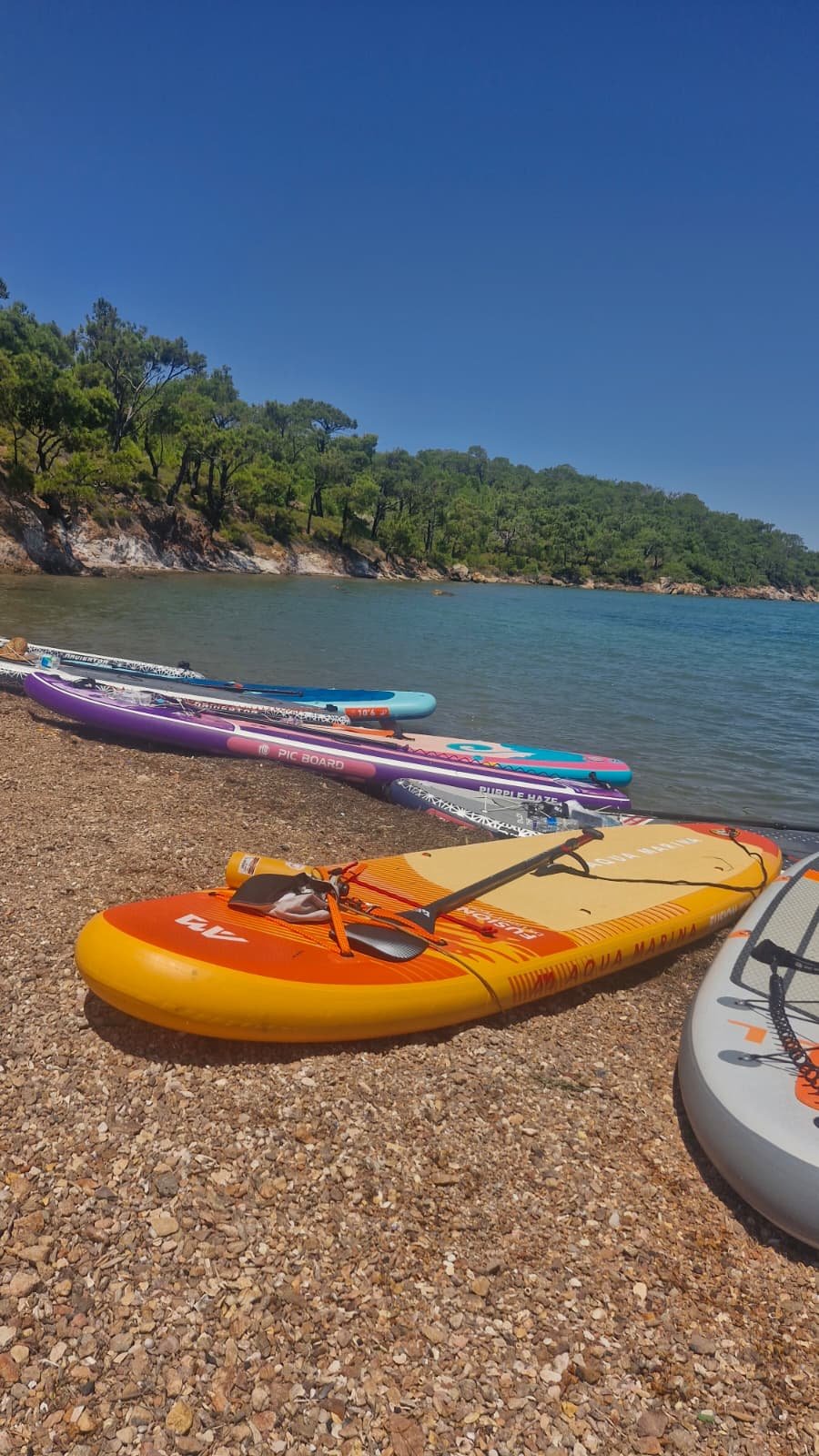 Paddleboarding in Ayvalık: The Shipwreck Route to Delikli Taş Inflatable stand up paddleboards lined up on the pebble beach beneath Delikli Taş, Ayvalık, with pine-covered shoreline and turquoise water behind