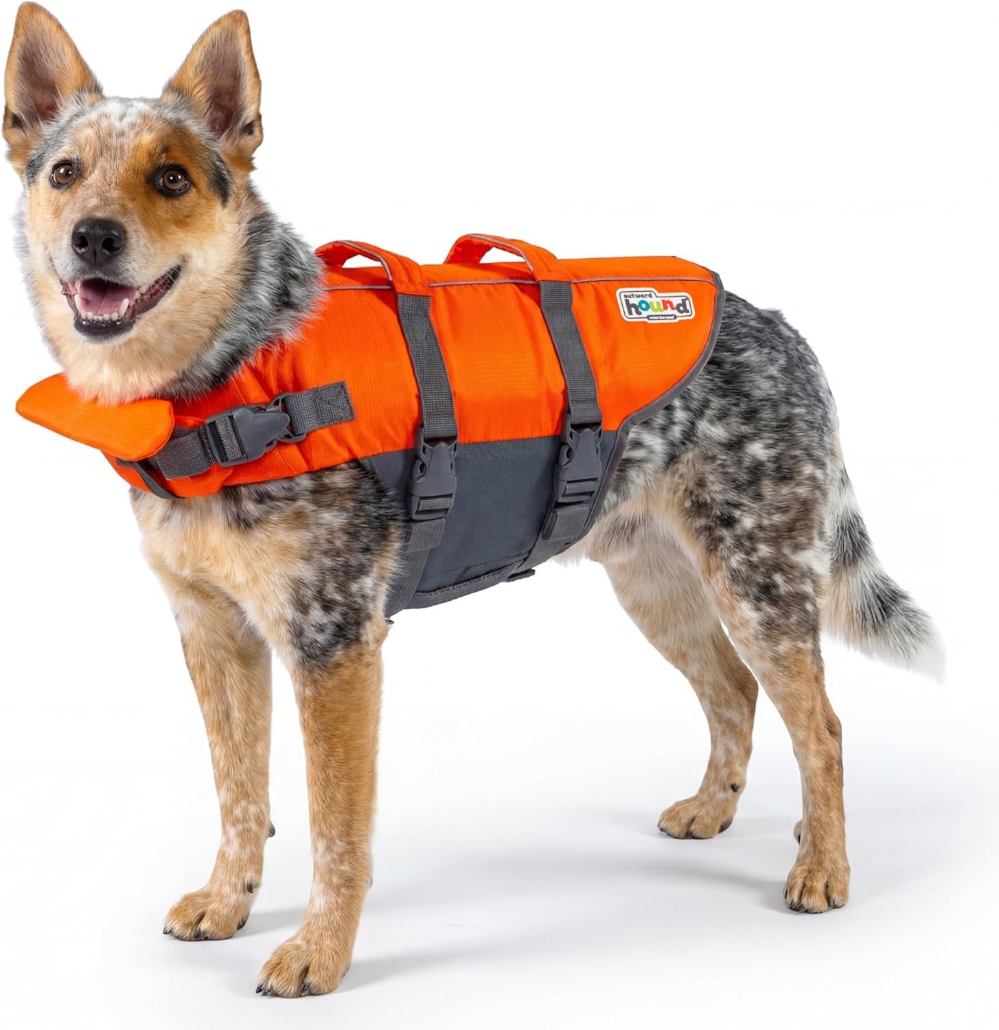 Outward Hound Granby Splash orange dog life jacket with front flotation panel and dual rescue handles