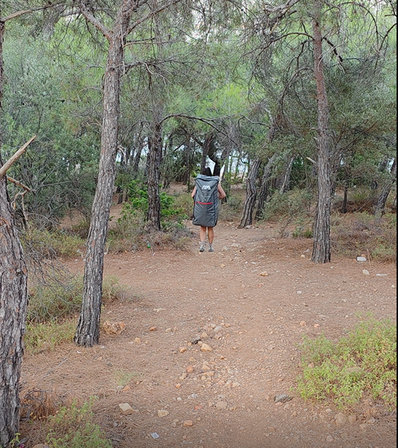 Walking down the pine forest path to the free entrance at Ortunç Bay, Cunda Island, carrying an inflatable paddleboard
