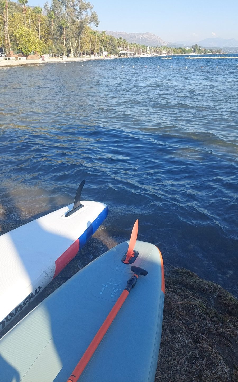 How to Store a Paddleboard: Inflated or Deflated? Two inflatable paddleboards pulled up on a rocky shore with palm trees and calm sea behind